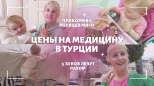 5 ЗУБОВ РАЗОМ  КАК УСТРОЕНА МЕДИЦИНА В ТУРЦИИ И СТРАХОВКИ  МЯСО В ПРИКОРМЕ  МЕНЮ 8 МЕСЯЦЕВ ️