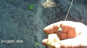 Рыбалка на самолов. Снасть