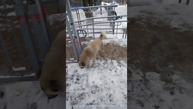 Верхний Баскунчак