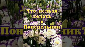 Что нельзя делать в Понедельник?