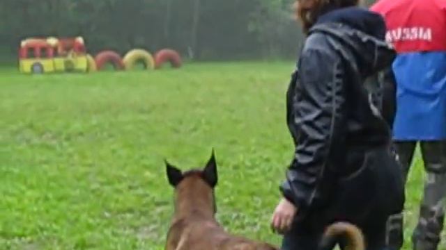 Мондьоринг КЦ Ясенево 10.06.2012 смотреть онлайн