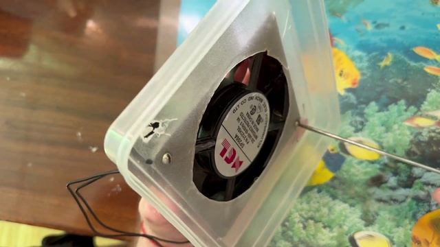 23 06 2023г как мы живем в Зарафшане смотреть онлайн