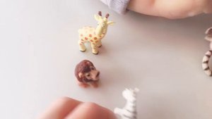 Игрушки зверушки. Дикие животные. Знакомимся с животными. Ранее развитие