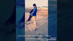 Как собака встречает хозяина после долгой разлуки.