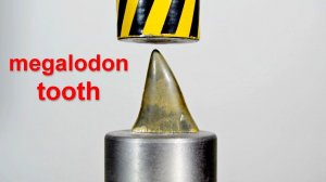 HYDRAULIC PRESS VS MEGALODON TOOTH