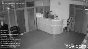 NOVIcam LITE 20 день и ночь
