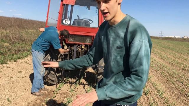 РЫХЛИТЕЛЬ ПРОПОЛЬЩИК для чеснока на три ряда под Трактор Т 30 и Т 25 смотреть онлайн