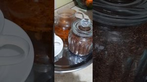 Заваривать чай Ройбуш/ОченьПолезный