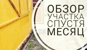 Покупка дома. Обзор участка спустя месяц после покупки.