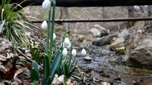 Кизилташский Свято-Стефано-Сурожский монастырь зимой...