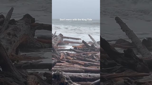 10+ tides show us why we don’t play on the driftwood during high tide.