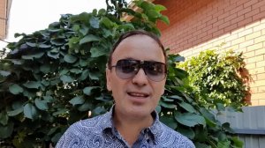 Причины сбрасывания плодов у яблонь