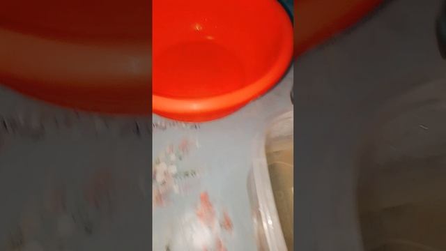꧁༒☬  Как приготовить желе  ☬༒꧂ ? Готовим вкусно с  Комиссаров Эдуард Михайлович #shorts (часть 4)