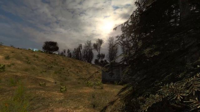STALKER NLC7. Серия 47. Боров