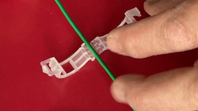 ? HOW TO GROW BRANDYWINE TOMATOES with CLIPS on STRINGS - Learn TIPS + TRICKS w/PHOTOS + details смотреть онлайн