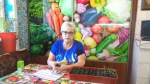 САМЫЕ НЕПРИХОТЛИВЫЕ СОРТА ТОМАТОВ.Ольга Чернова.