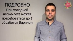 Уничтожаем совку! Технология от Аллея Вкуса