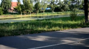 Тестирую камеру