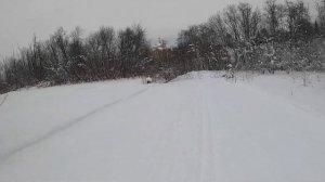 Обзор трассы Тотемской ДЮСШ в г. Тотьме