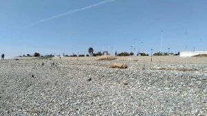 VID20230322124513.mp4