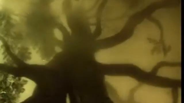 Ёжик в тумане(Прикол) смотреть онлайн