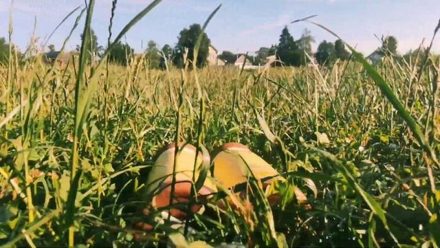 Прекрасное в природе смотреть онлайн