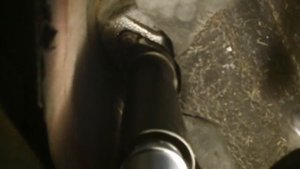 FORD FUSION,FOCUS,2 REAR SHOCK ABSORBER REPLACMENT