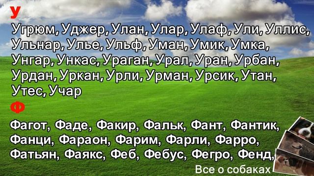 Клички собак. Кобели. Р-Ч. смотреть онлайн