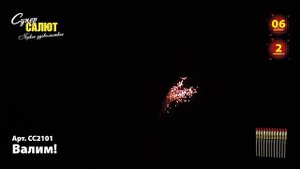 Ракеты СС2101 "Валим"