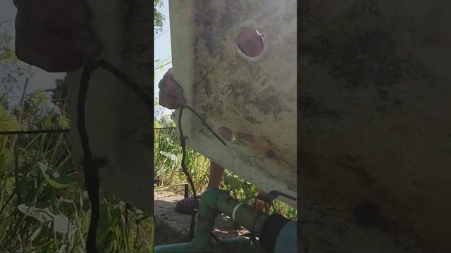 соседка по даче люда водяная смотреть онлайн