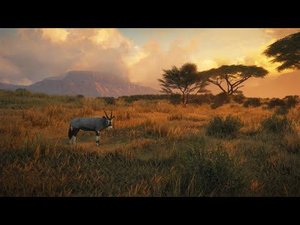 TheHunter: Call of the Wild - Охота #15. Африканская охота. Охота в Африке. Зов дикой природы
