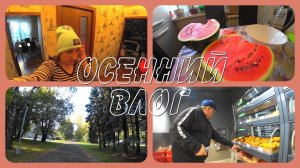 VLOG: ПОСЛЕДНИЕ ТЁПЛЫЕ ДНИ/УТЕПЛИЛАСЬ/купили АРБУЗ, ПЛЮШКИ