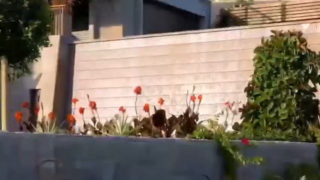 Виллы и апартаменты на берегу в центре Бодрума