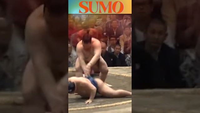 Top Sumo 🔥Throws & Clashes! #ytshort