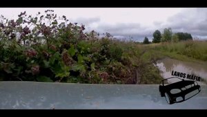 Поехал за грибами! Утопил Ланос! НИВА 4 НА 4! В грязи! #ГРИБЫ