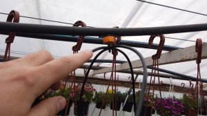 Делаю КАПЕЛЬНЫЙ ПОЛИВ для Цветов. Своими руками.