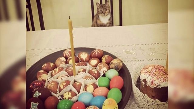 Жизнь сильной и независимой смотреть онлайн