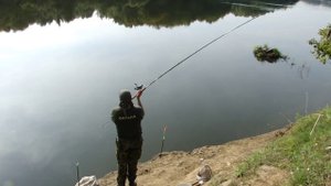 Рыбалка на реке ДЕСНА( СУПОНЕВО) ! fishing