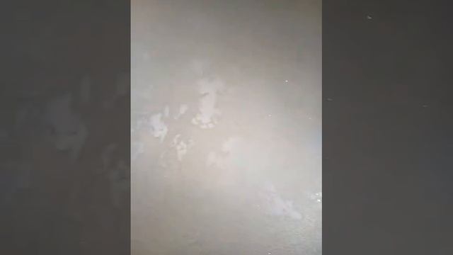 Мармарин(1) смотреть онлайн