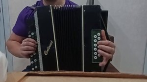 гармонь цельнопланочная русский строй