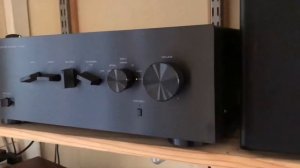 Yamaha A-S301