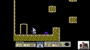 Прохождение игры Tiny Toon Adventures (Денди)