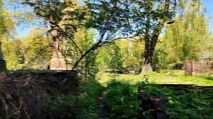 Заброшенные склепы Никольского кладбища (СПб). Легенды, мифы, архивные фото.