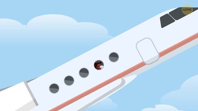 50 коротких фактов об организме человека