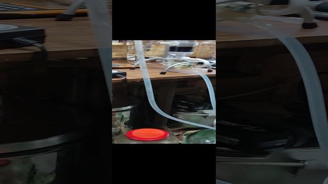 Изготовление домашней водки.