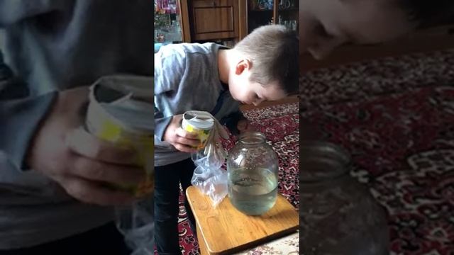 Что едят тритоны смотреть онлайн