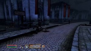 Imperial legion guards fighting each other in the market district (elder scrolls oblivion)