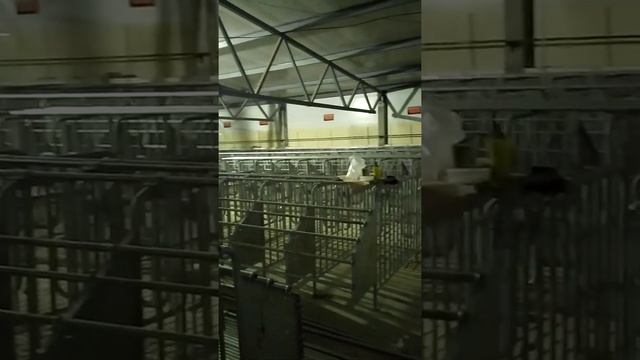 монтаж газовой пушки смотреть онлайн