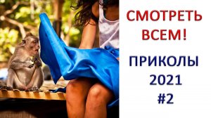 СМЕХ ДО СЛЕЗ ? ЛУЧШИЕ ПРИКОЛЫ 2021 ? Ржака Угар Приколюха #2