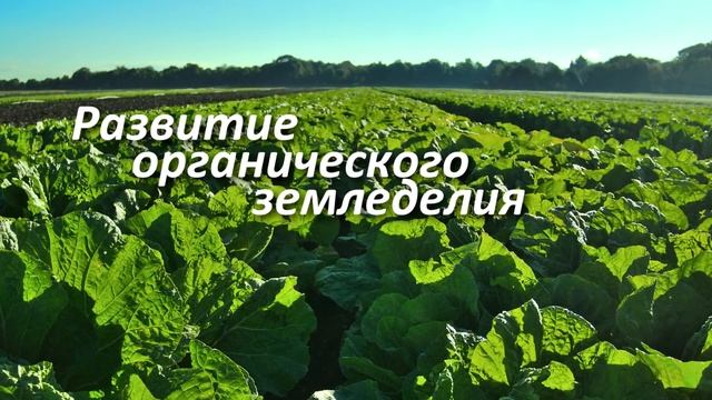 Как стать экофермером. Как я стал экофермеромЭкоферма КоноваловоАлександр Коновалов